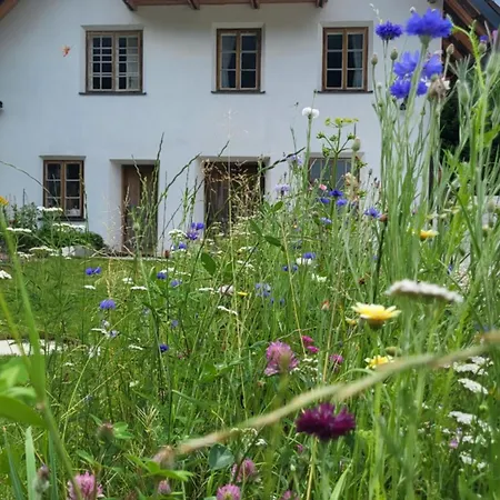 House Leska * Kranjska Gora