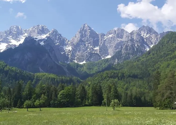 Apartamento House Leska *